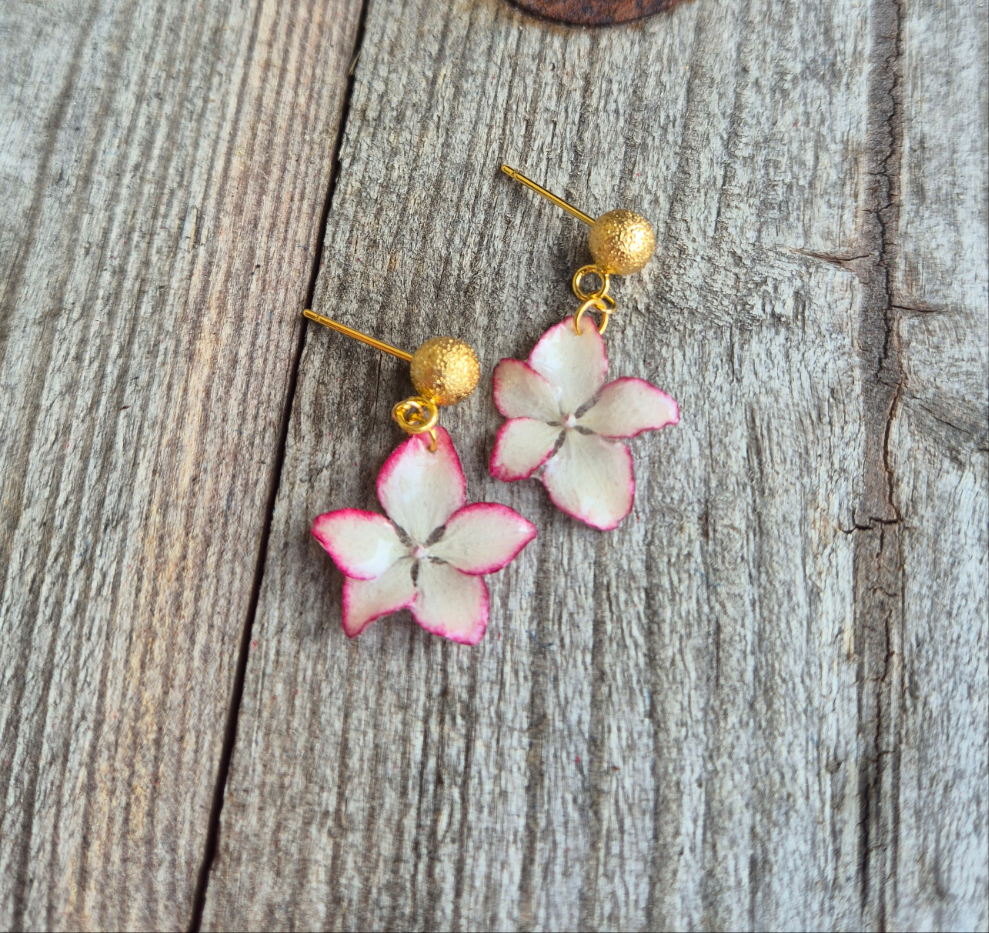 Hortensia | Pink/hvid | Guldbelagt