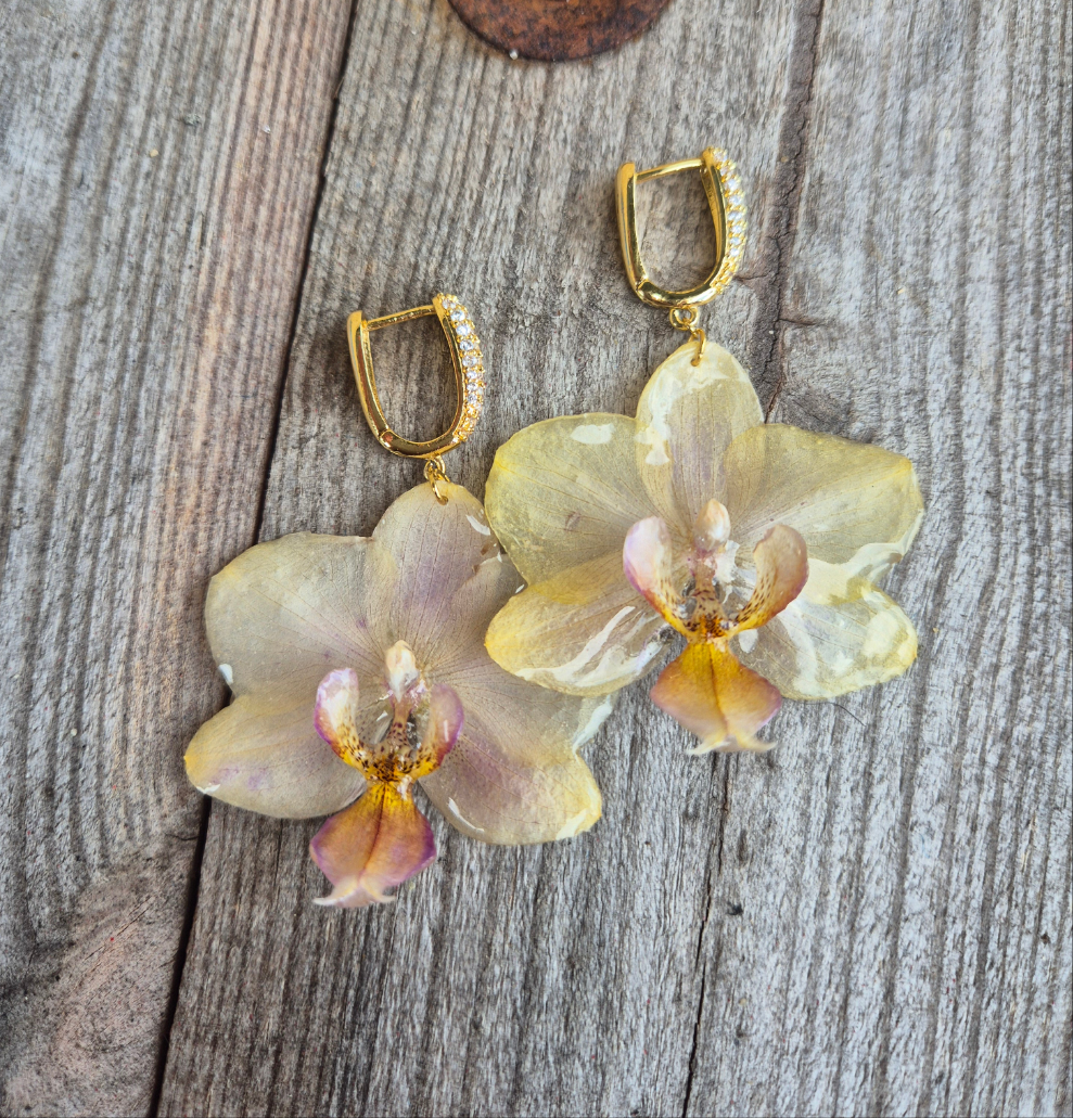 Orkidé | Gul/pink | Guld