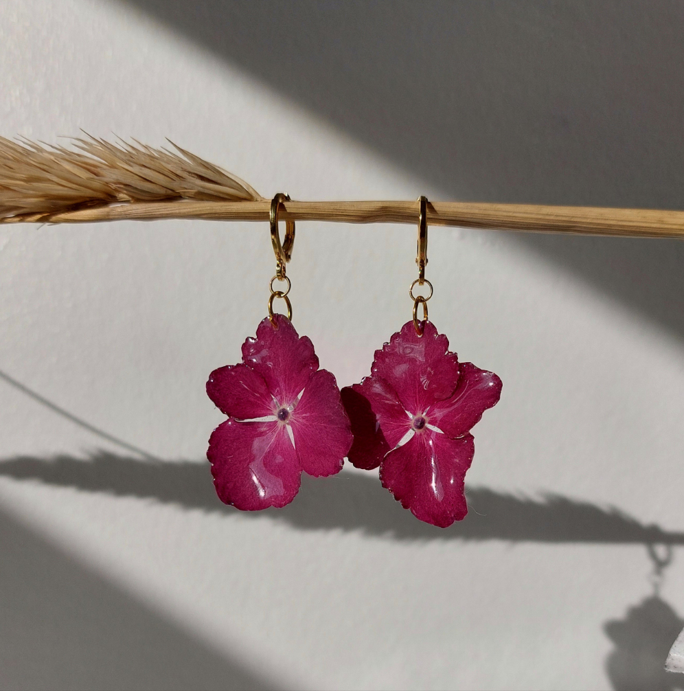 Hortensia | Pink | Creol