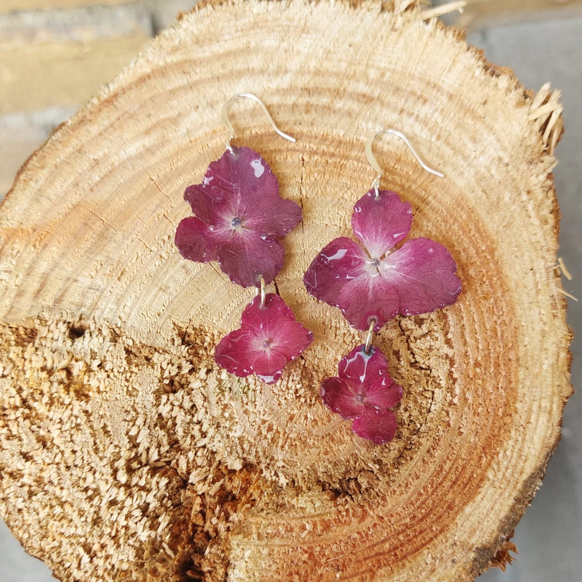 Hortensia | Bordeaux | Krog