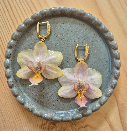Orkidé | Gul/pink | Guld